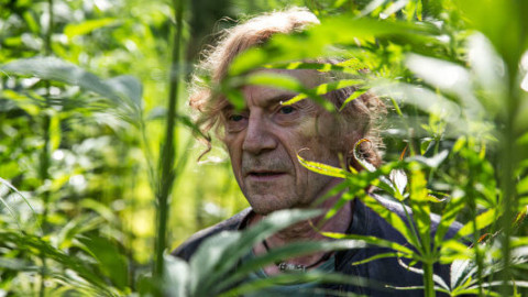 50+ Minuten backdrop