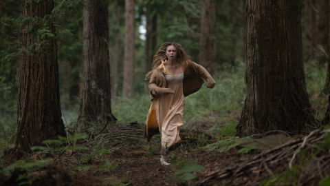 50+ Minuten backdrop