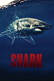Sharks - Gefürchtete Räuber