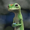 Gecko05 avatar