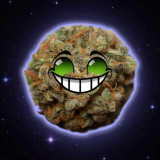 Nemombi avatar