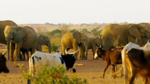 Dokumentation backdrop