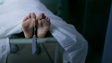 Dokumentation backdrop