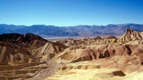 Vampire Universum backdrop