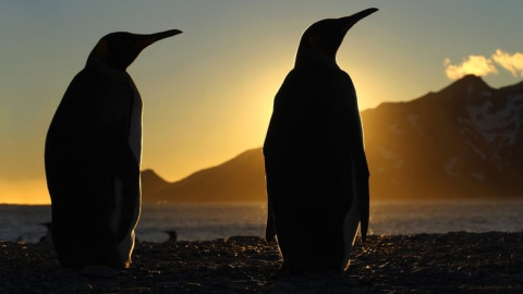 💤 Dokus zum Schlafen backdrop