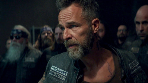 Gangs, Mafias &amp; Co. backdrop