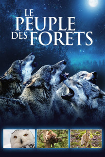 Eine Welt aus Wäldern