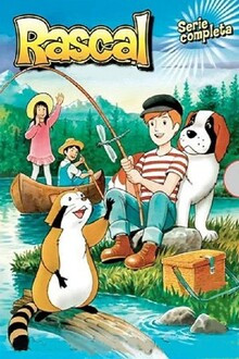 Rascal, der Waschbär