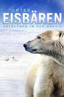 Unter Eisbären - Überleben in der Arktis