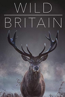 Wildes Großbritannien (2018)