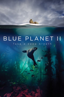 Der blaue Planet