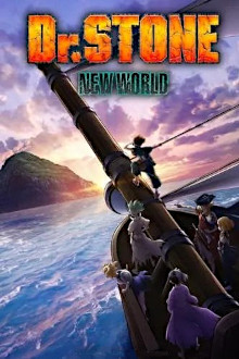 Dr. Stone