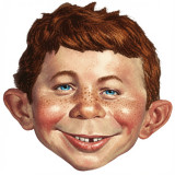 Brian_Gecko avatar