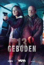 Cover 13 Geboden, Poster, Stream