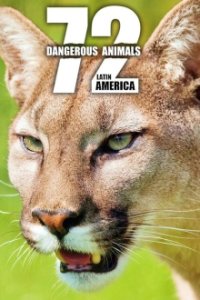 72 Dangerous Animals: Latin America Cover, Poster, Blu-ray,  Bild