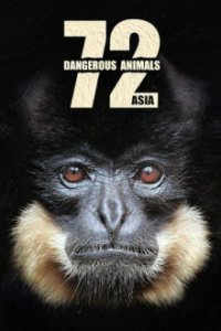 Cover 72 gefährliche Tiere: Asien, TV-Serie, Poster