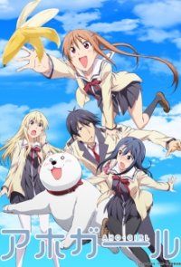 Aho Girl Cover, Poster, Blu-ray,  Bild