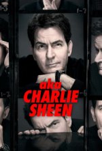 Staffel 1 Cover, Poster