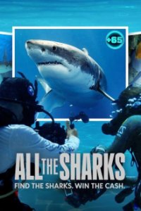 Poster, All the Sharks Serien Cover