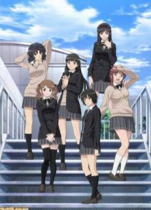 Amagami SS, Cover, HD, Serien Stream, ganze Folge