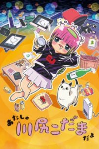 Atasha Kawajiri Kodama da yo: Dangerous Lifehacker no Tadareta Seikatsu Cover, Poster, Blu-ray,  Bild