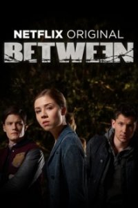 Between Cover, Poster, Between DVD