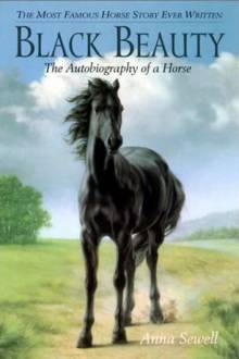 Black Beauty Cover, Poster, Black Beauty DVD