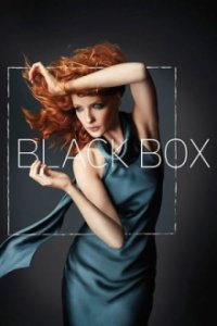 Cover Black Box, Poster