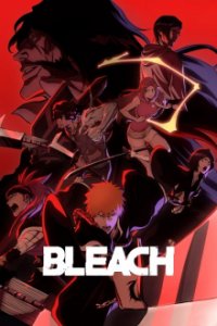 Bleach Cover, Online, Poster