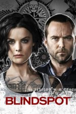 Cover Blindspot, Poster Blindspot