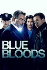 Blue Bloods - Crime Scene New York Cover, Blue Bloods - Crime Scene New York Stream