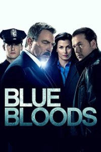 Blue Bloods - Crime Scene New York Cover, Poster, Blu-ray,  Bild