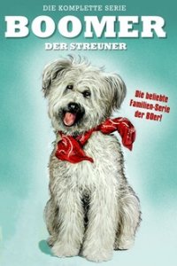 Cover Boomer, der Streuner, Boomer, der Streuner