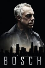 Cover Bosch, Poster, Stream