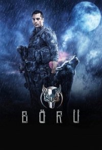 Börü - Die Wölfe Cover, Poster, Blu-ray,  Bild