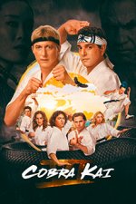 Cover Cobra Kai, Poster Cobra Kai