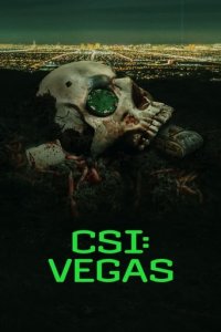 CSI: Vegas Cover, Poster, CSI: Vegas