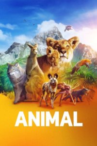 Cover Das Tier, Poster