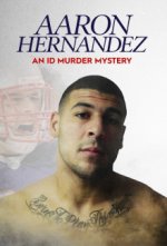 Cover Der Fall Aaron Hernandez, Poster, Stream