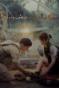 Cover Descendants of the Sun, Poster