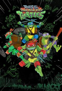 Cover Die Abenteuer der Teenage Mutant Ninja Turtles, Poster Die Abenteuer der Teenage Mutant Ninja Turtles