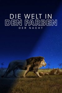 Die Welt in den Farben der Nacht Cover, Online, Poster