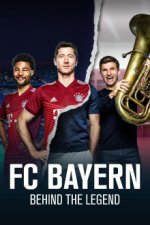 Staffel 1 Cover, Poster