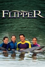 Cover Flippers neue Abenteuer, Poster Flippers neue Abenteuer