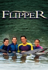 Flippers neue Abenteuer Cover, Poster, Blu-ray,  Bild