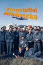 Cover Flugstaffel Meinecke, Poster Flugstaffel Meinecke