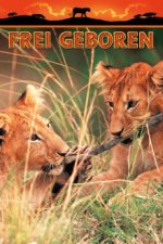 Cover Frei geboren - Königin der Wildnis, Poster Frei geboren - Königin der Wildnis