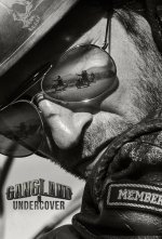 Cover Gangland Undercover, Poster, Stream