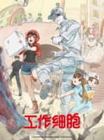 Cover Hataraku Saibou, Poster, Stream