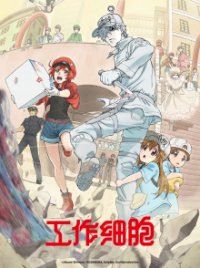 Cover Hataraku Saibou, Poster Hataraku Saibou